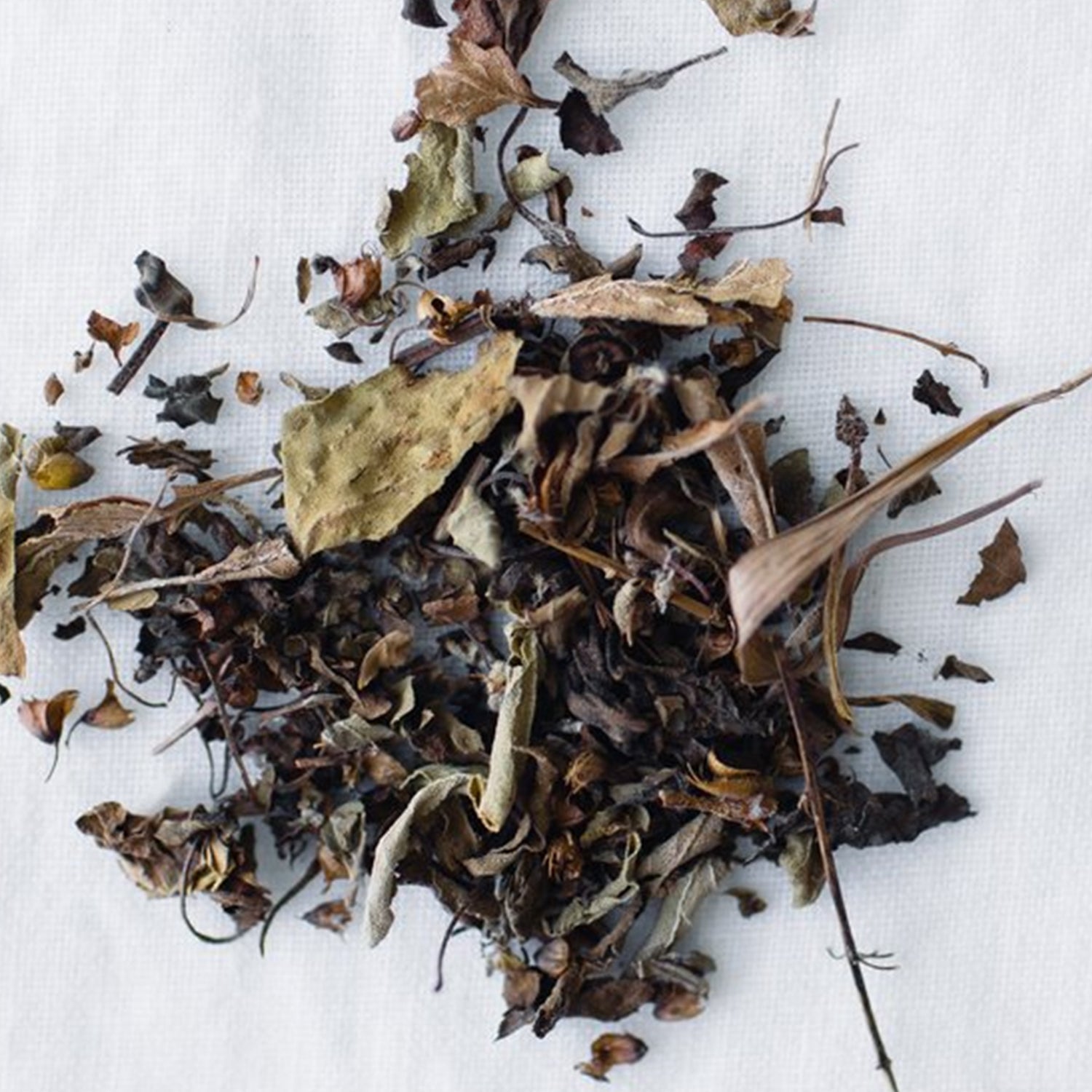 Holy Basil Tisane