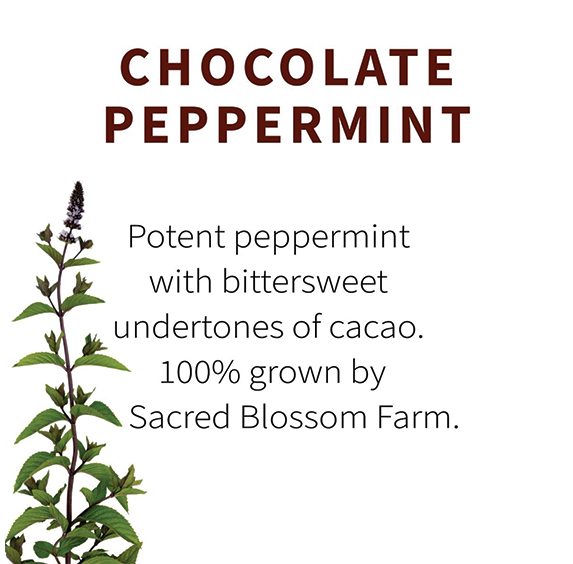 Chocolate Peppermint (sold by weight)