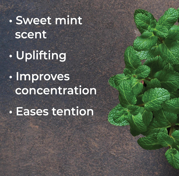 Essential Oils - Organic Spearmint