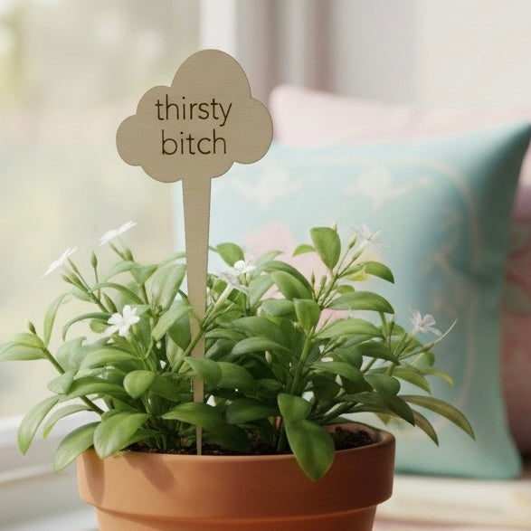 Snarky Wood Plant Markers