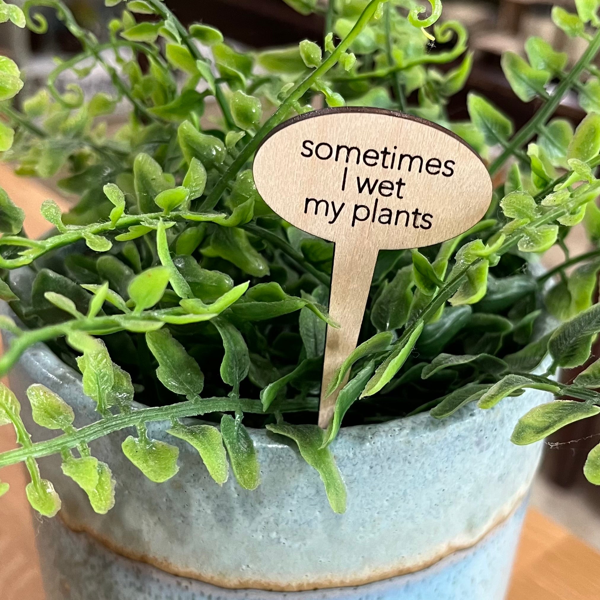 Snarky Wood Plant Markers
