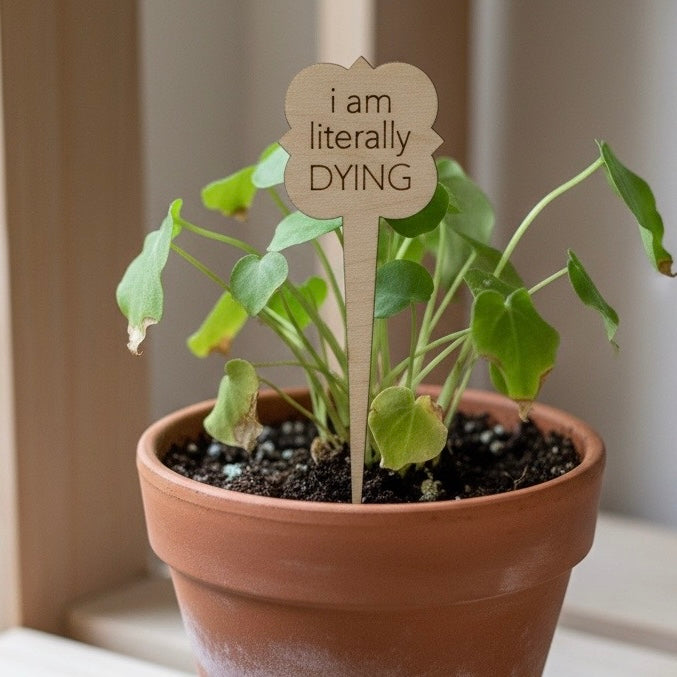 Snarky Wood Plant Markers