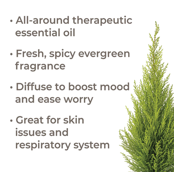 Essential Oils- Organic Cypress