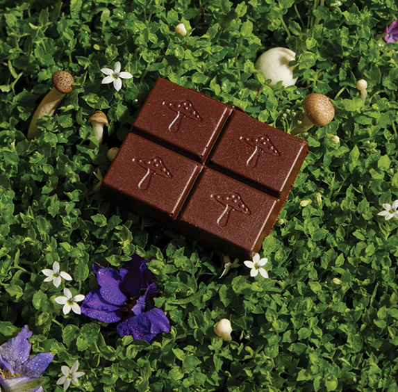 Mushroom Chocolates - Nightcap for Deep Sleep