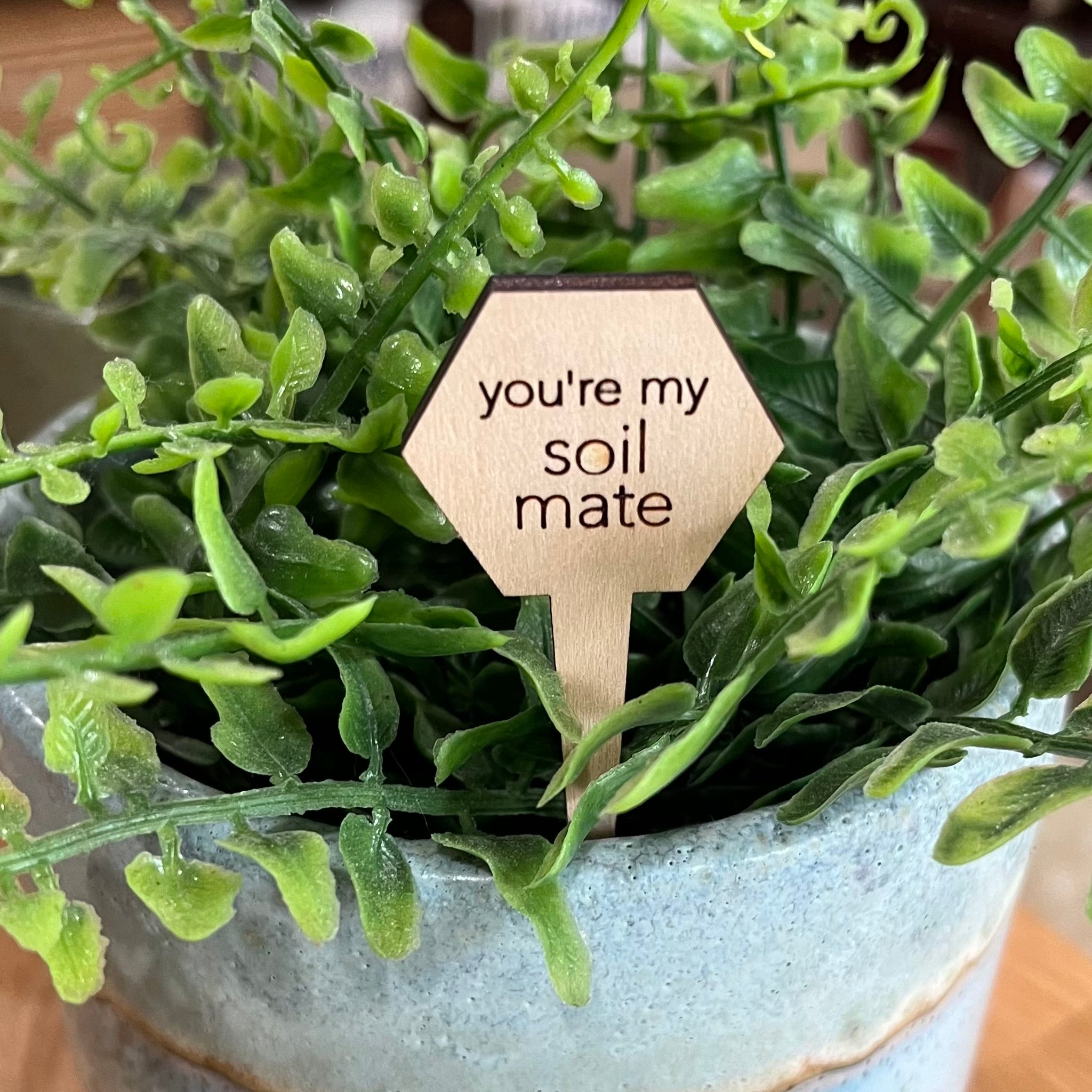 Snarky Wood Plant Markers