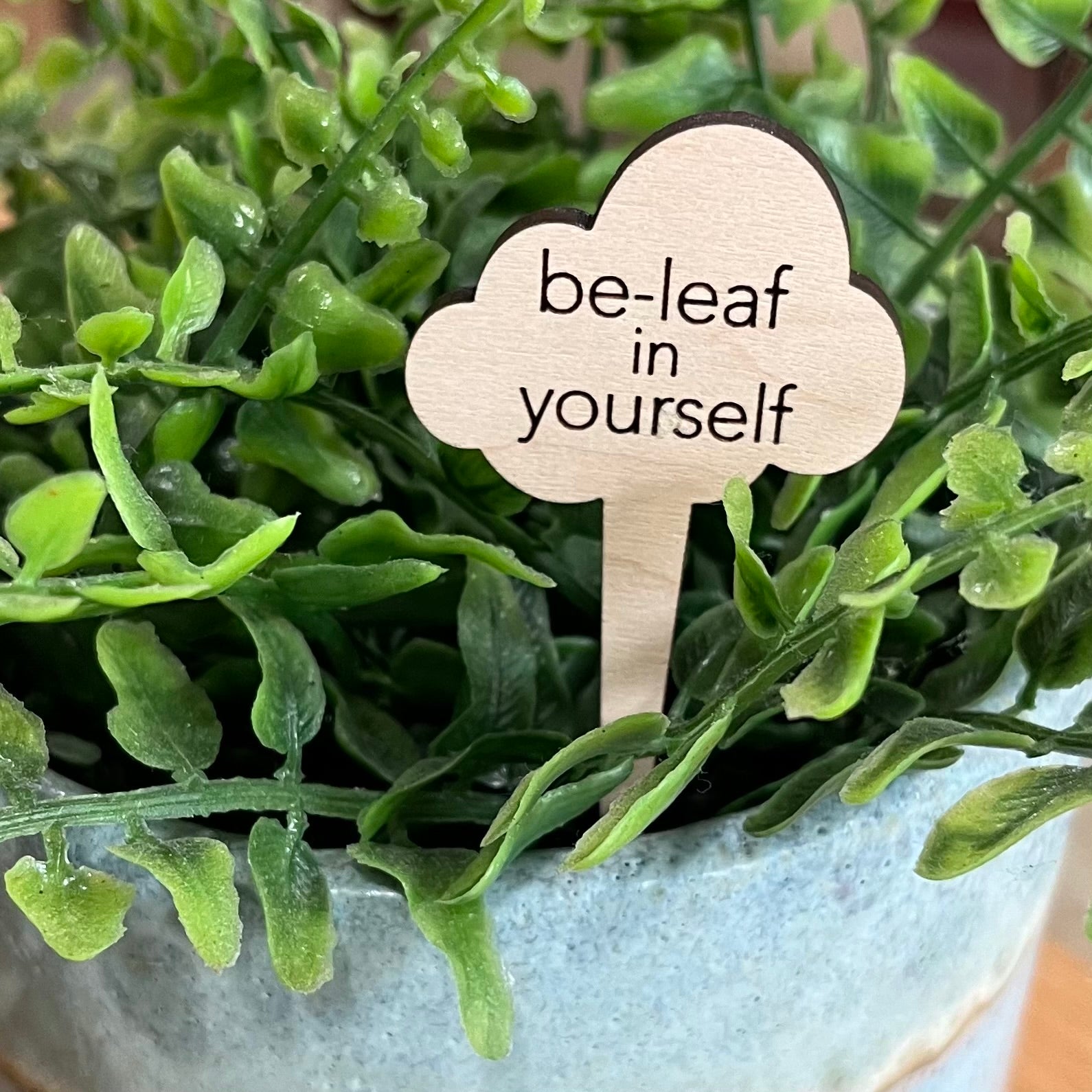 Snarky Wood Plant Markers