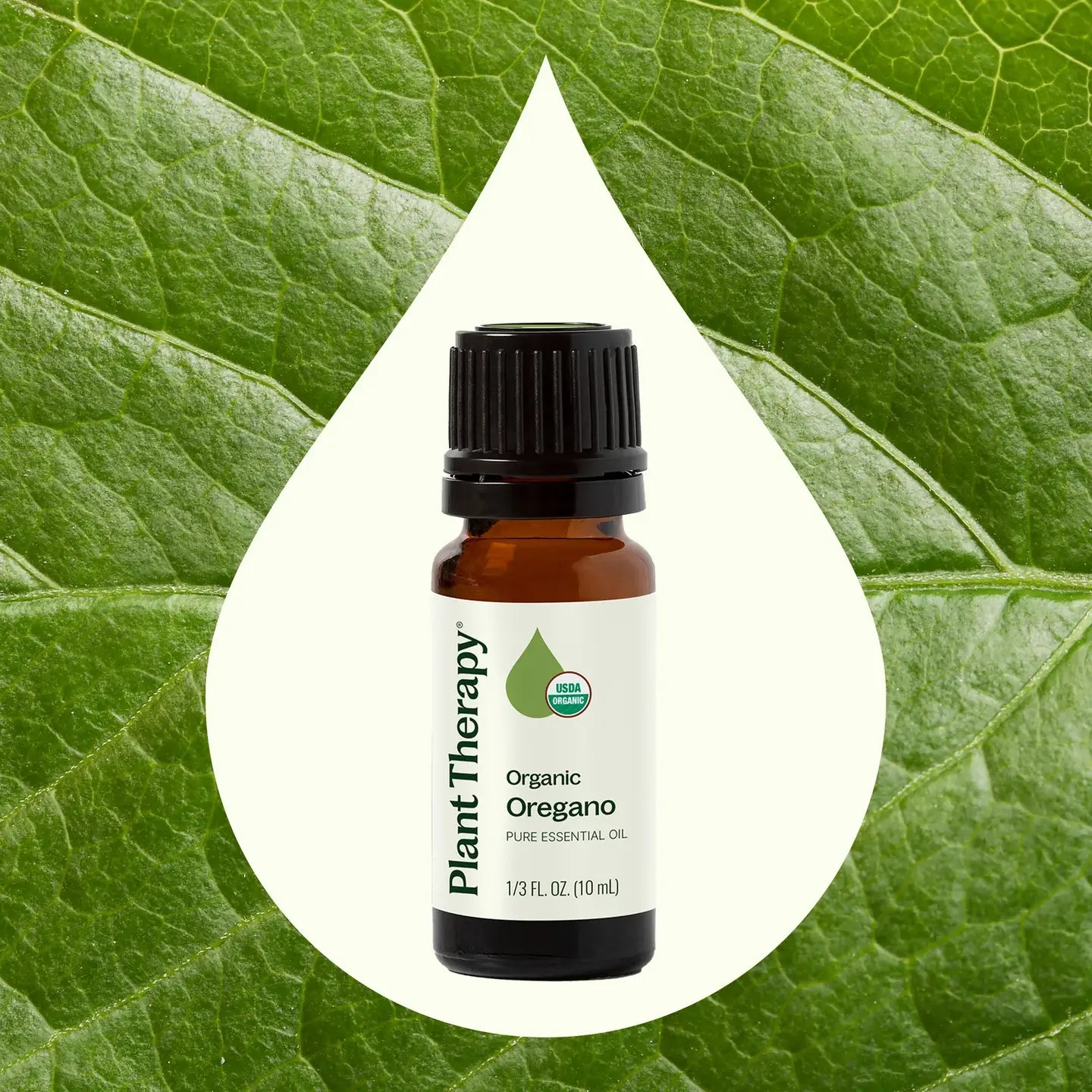 Essential Oils - Organic Oregano