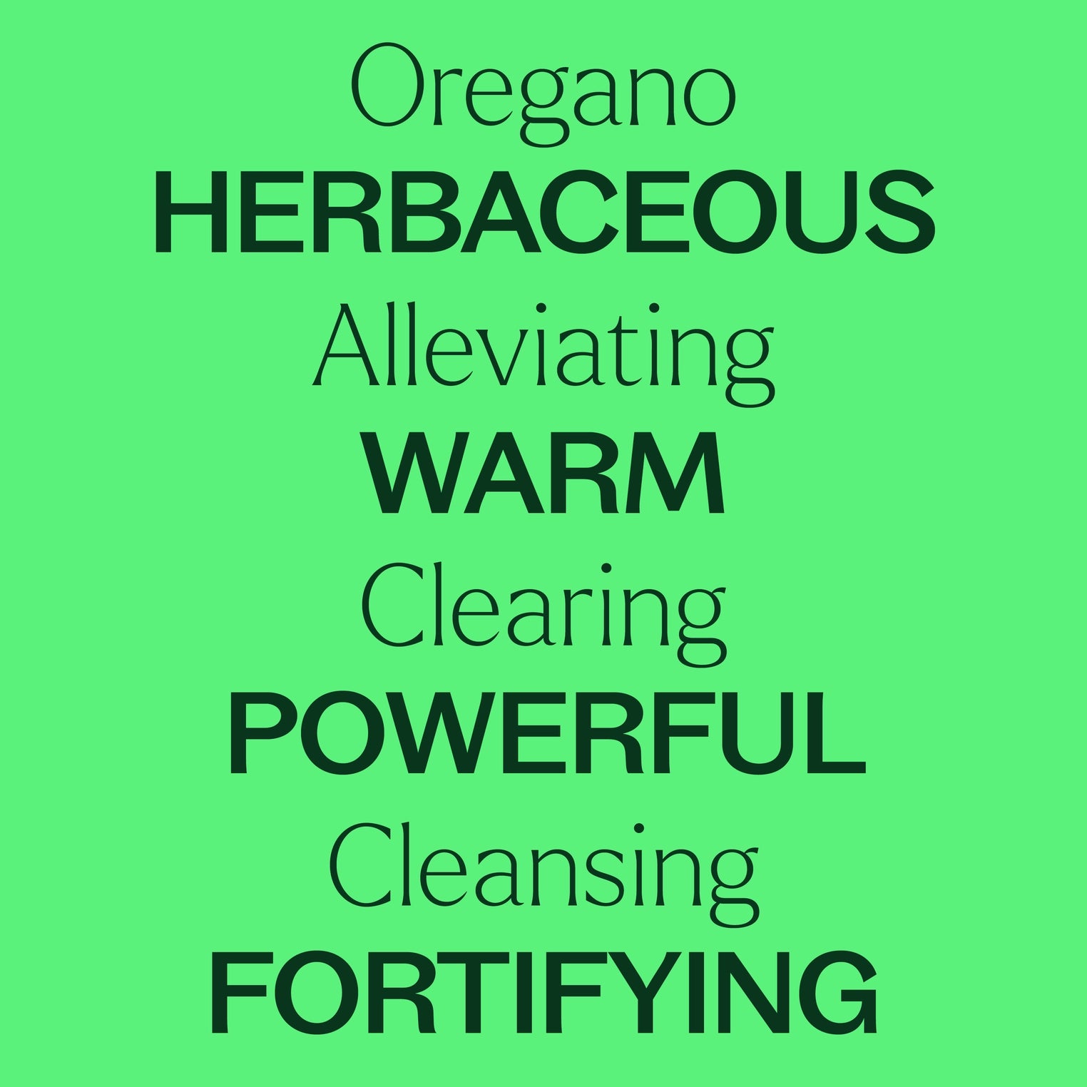 Essential Oils - Organic Oregano