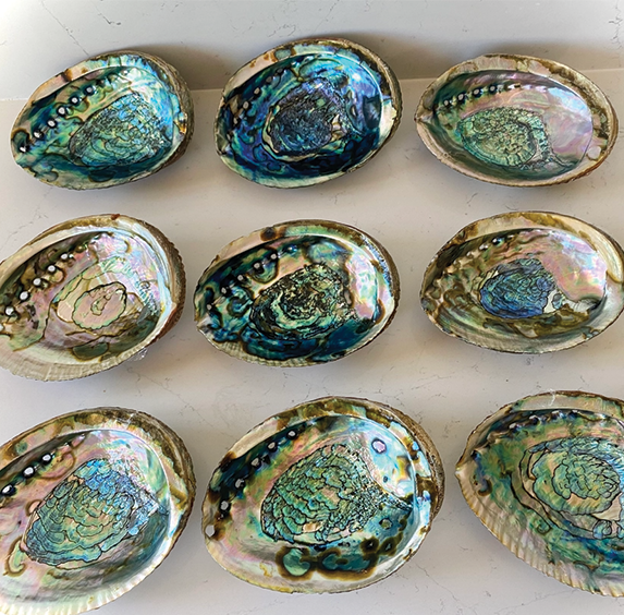 Abalone Shell Smudge Bowls