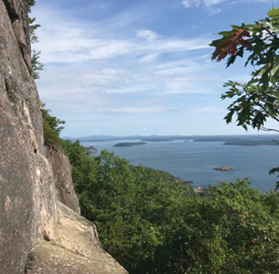 National Park Teas - Acadia