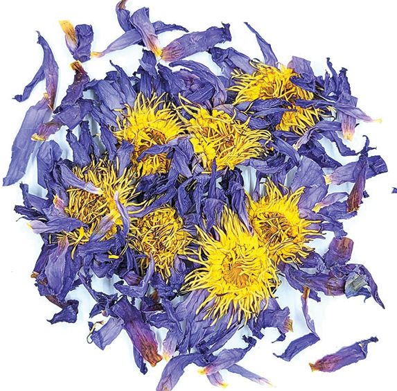 Blue Lotus Flowers (sold by weight)