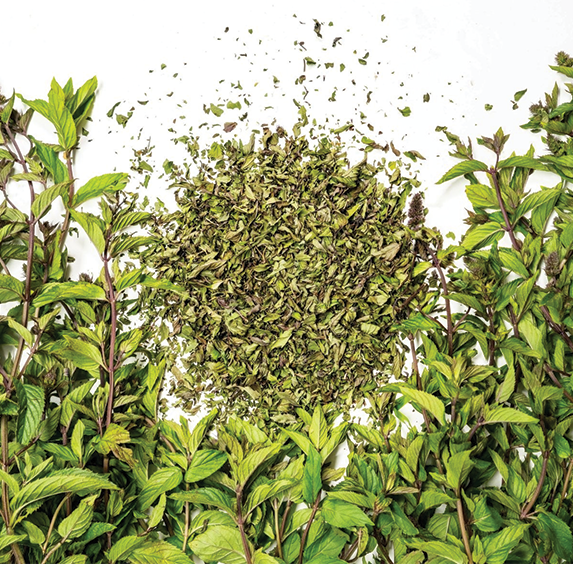 Chocolate Peppermint (sold by weight)