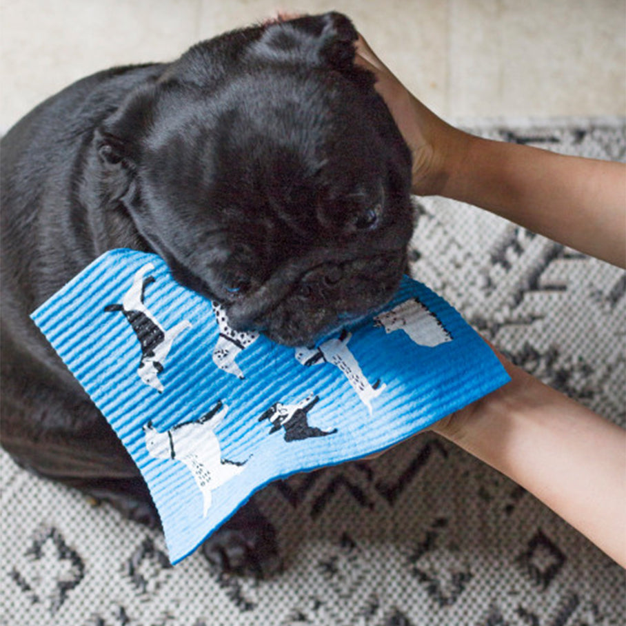 Swedish Sponge Cloth - Hot Sauce