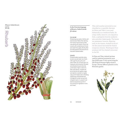 Herbal Handbook: 50 Profiles in Words and Art from the Rare Book Collections of The New York Botanical Garden