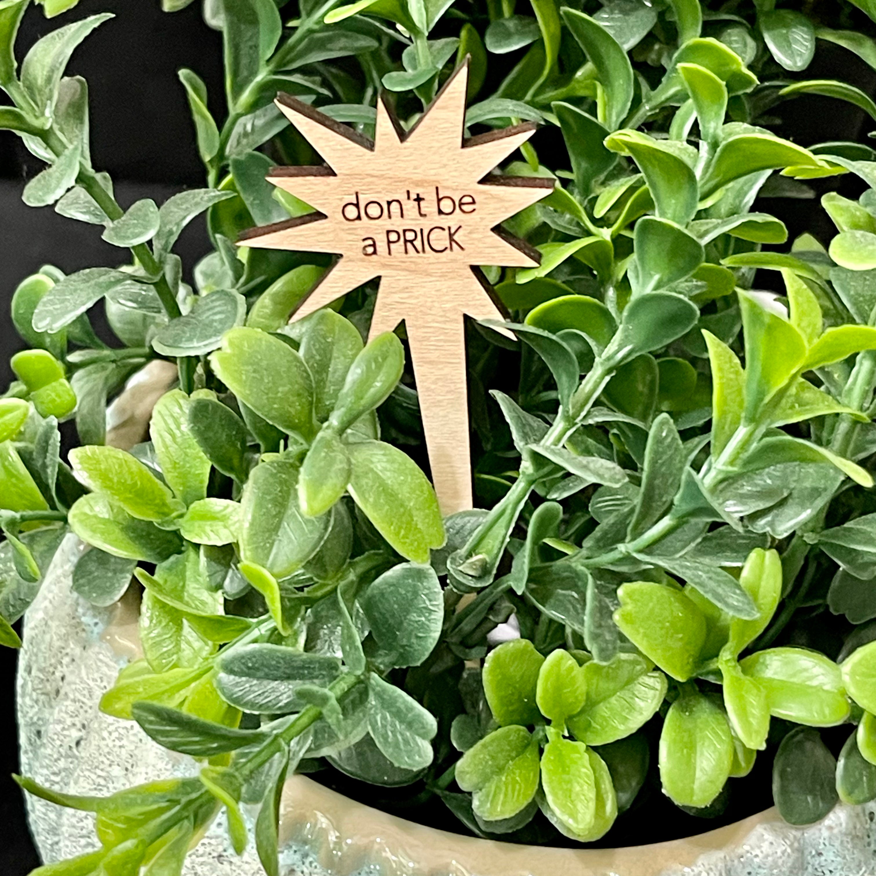 Snarky Wood Plant Markers