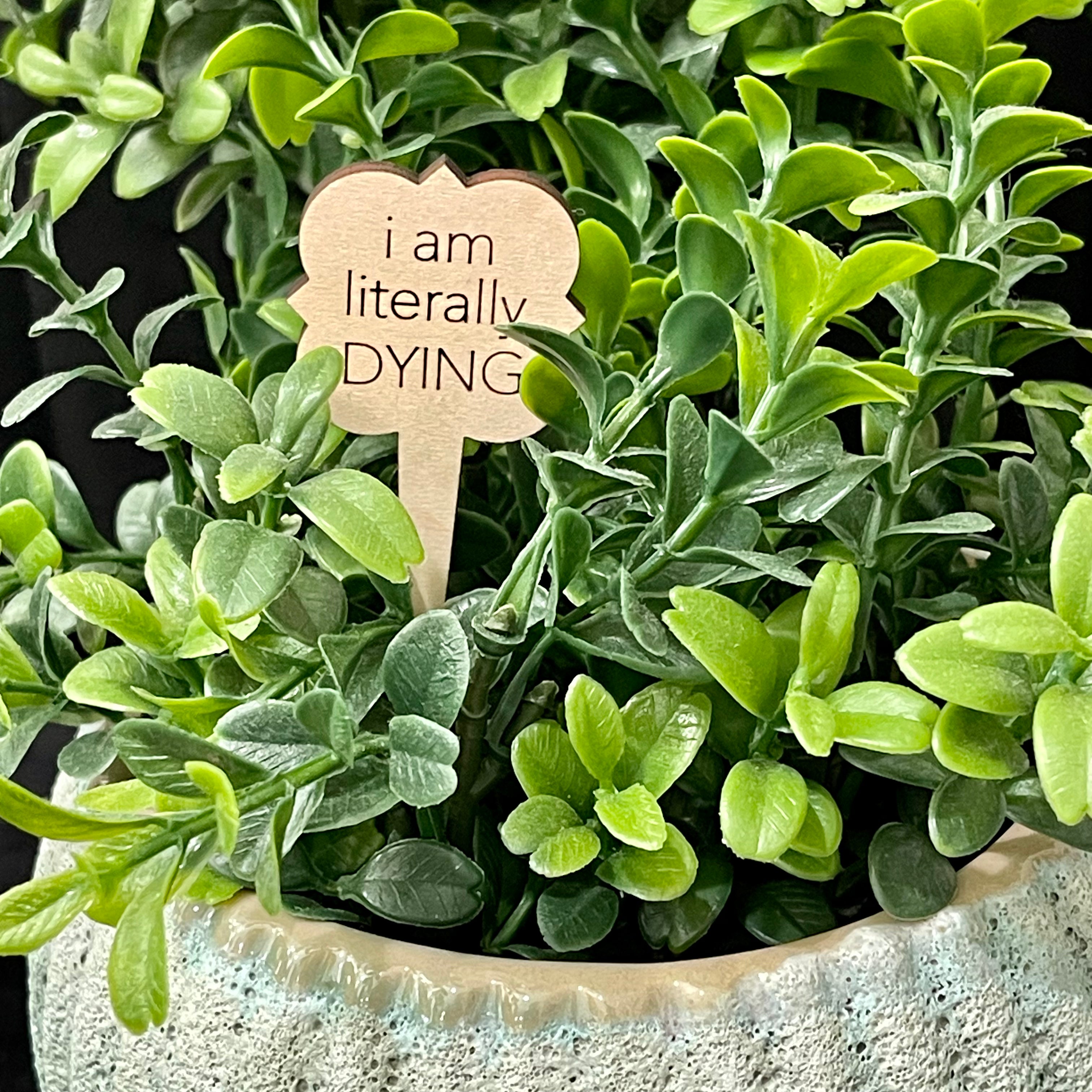 Snarky Wood Plant Markers