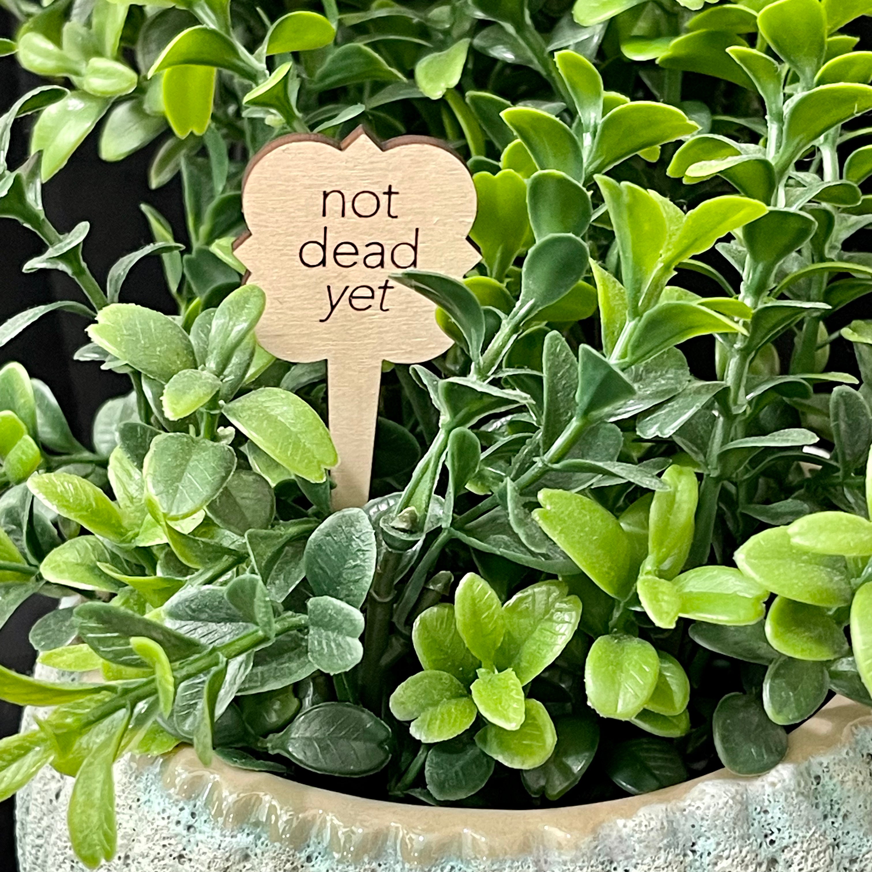 Snarky Wood Plant Markers