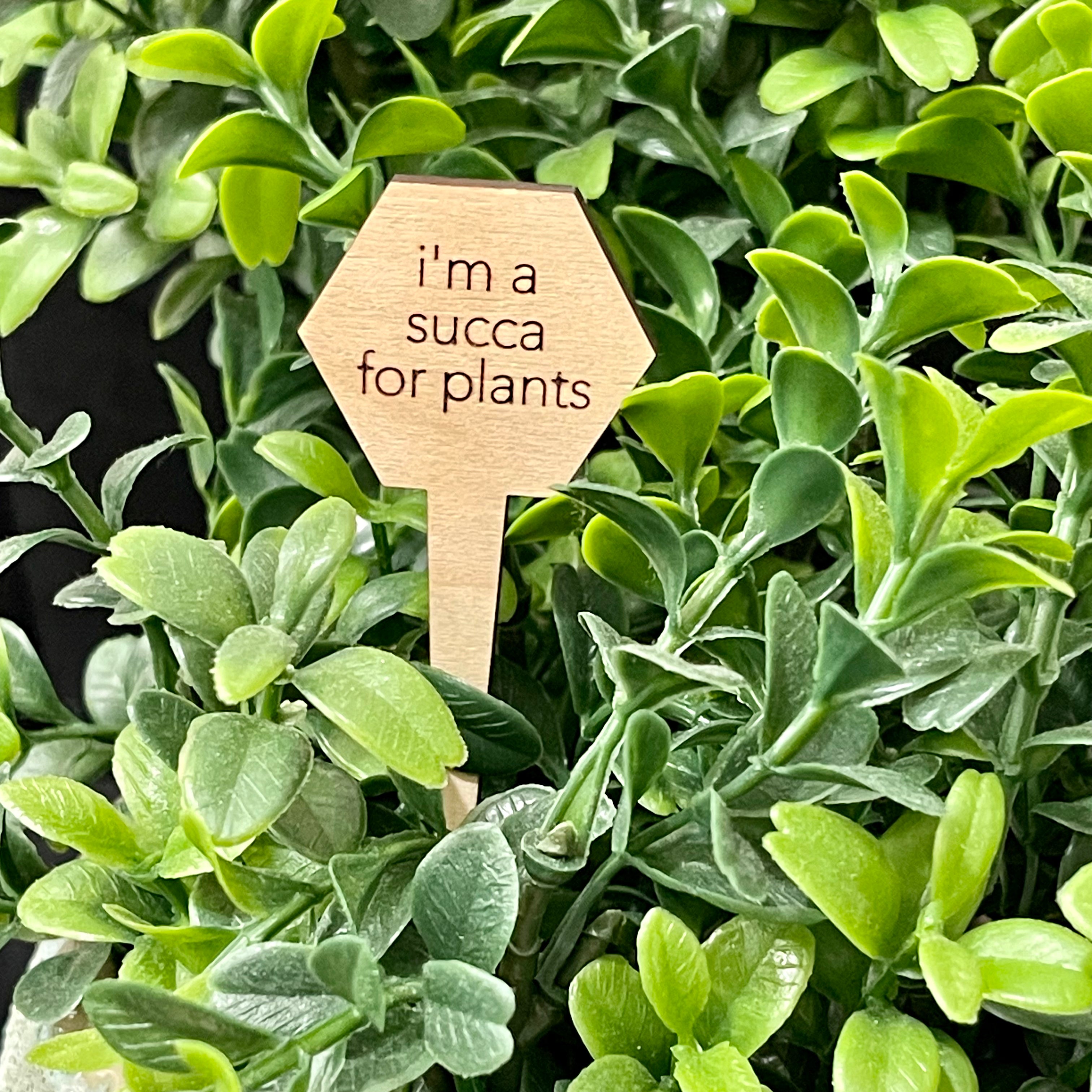 Snarky Wood Plant Markers