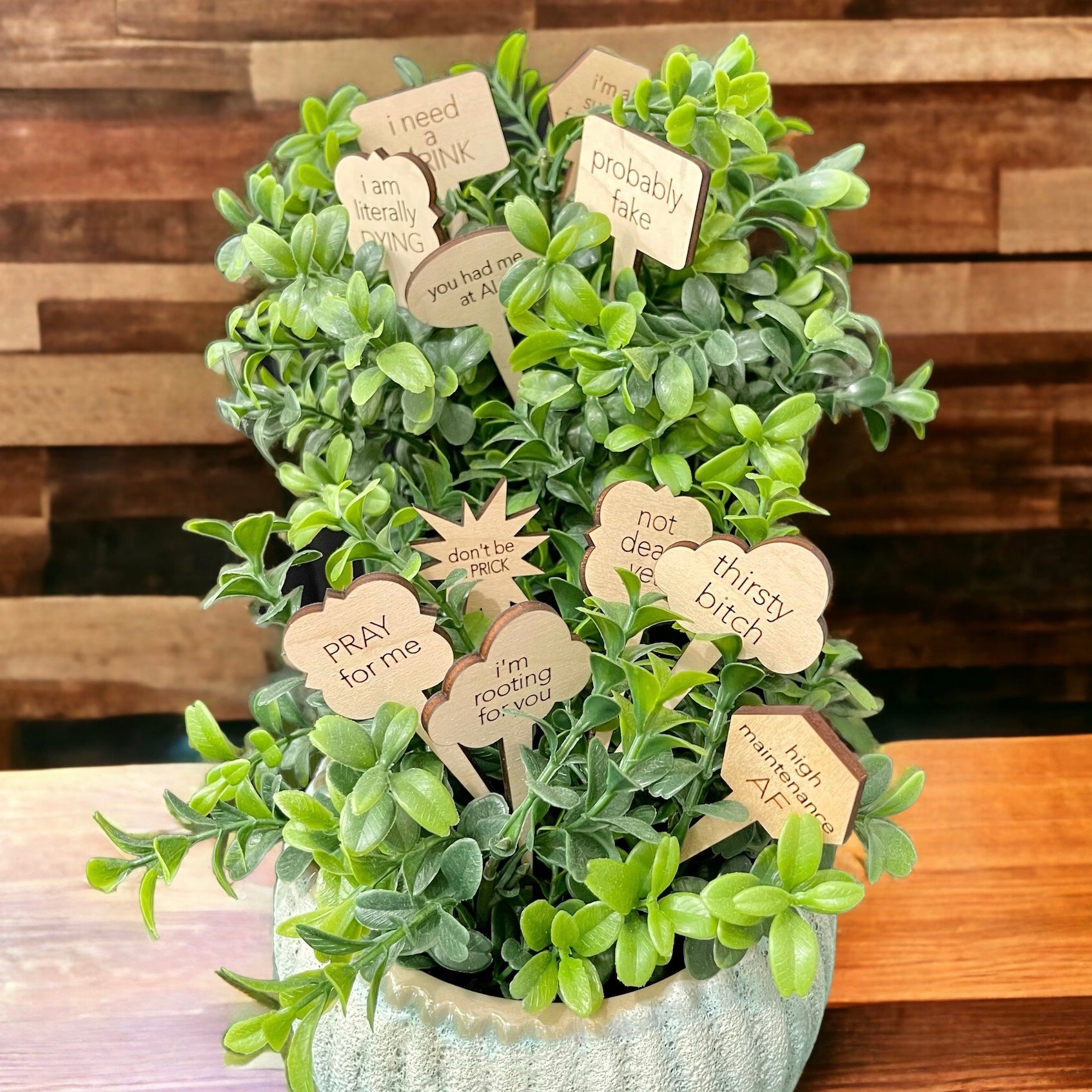 Snarky Wood Plant Markers