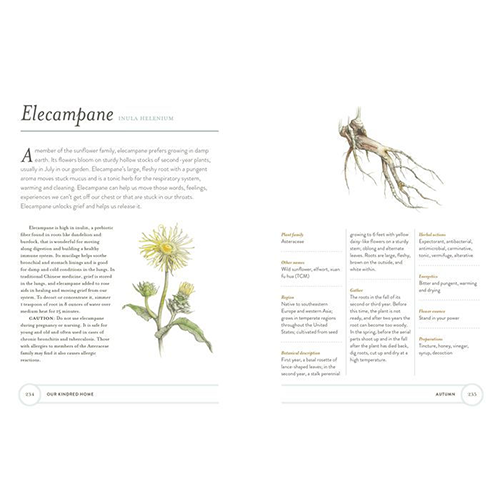 Our Kindred Home: Herbal Recipes, Plant Wisdom, and Seasonal Rituals for Rekindling Connection with the Earth