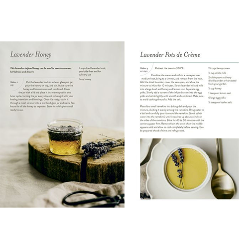 Our Kindred Home: Herbal Recipes, Plant Wisdom, and Seasonal Rituals for Rekindling Connection with the Earth