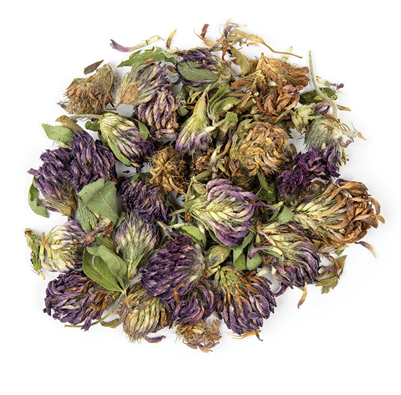 Red Clover Blossoms (sold by weight)