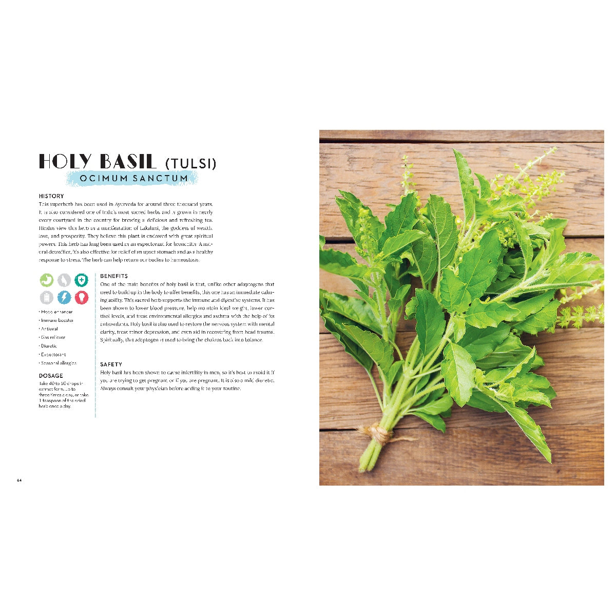 Adaptogens: A Directory of Over 50 Healing Herbs for Energy, Stress Relief, Beauty, and Overall Well-Being