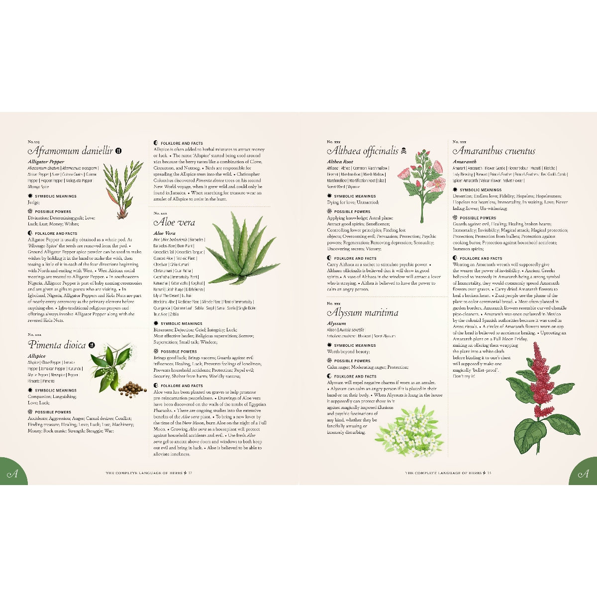 The Complete Language of Herbs: A Definitive and Illustrated History