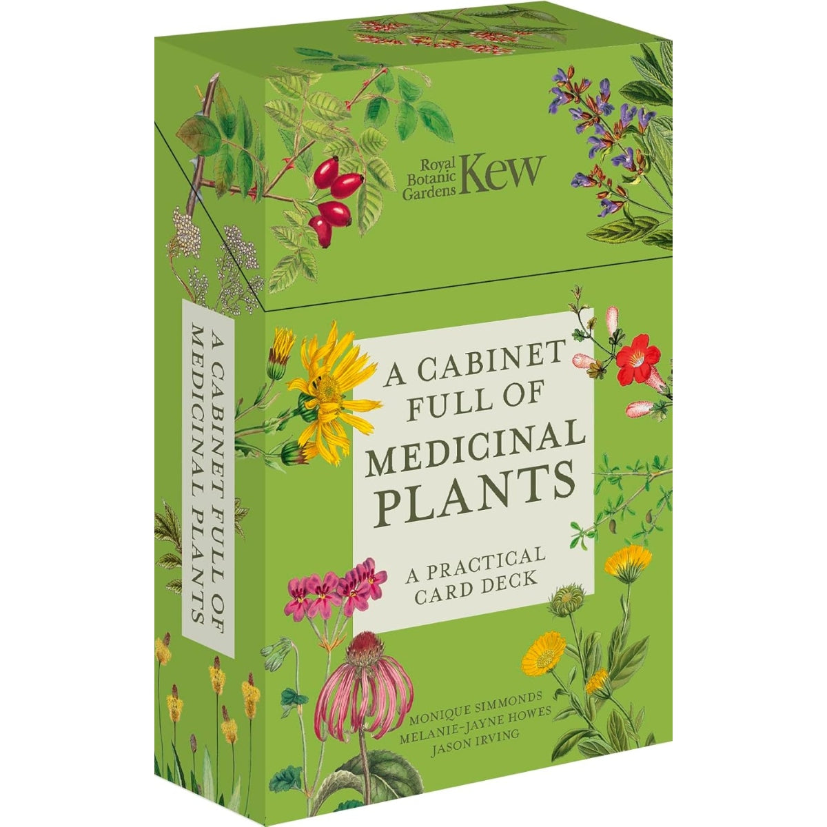 A Cabinet Full of Medicinal Plants: A Practical Card Deck