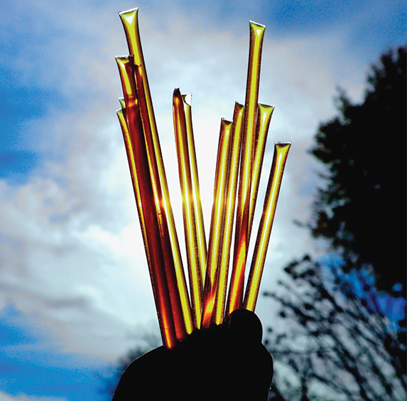 Honey Stick - Wildflower