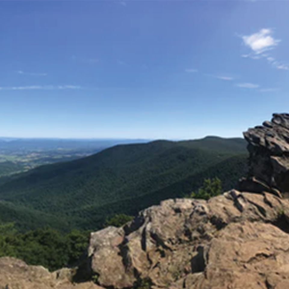 National Park Teas - Shenandoah