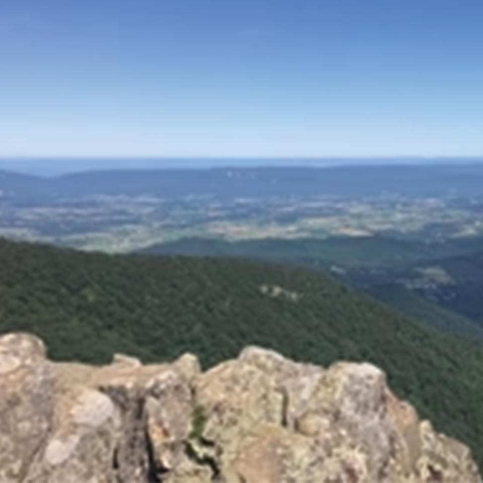 National Park Teas - Shenandoah