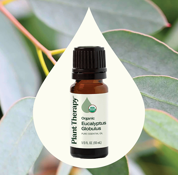 Essential Oils - Organic Eucalyptus Globulus