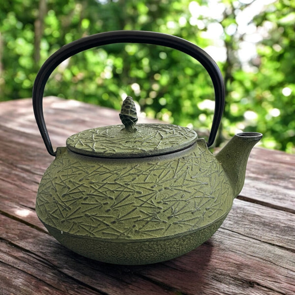 Vintage Teapot - Green Cast Iron with Infuser (Iwachu Tetsubin, Japan)