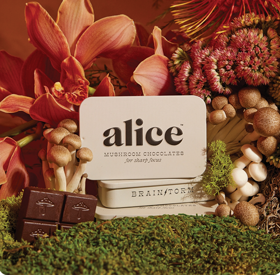 Mushroom Chocolates - Brainstorm for Focus