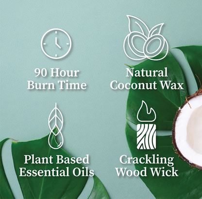Oud Forest (16 oz Candle)