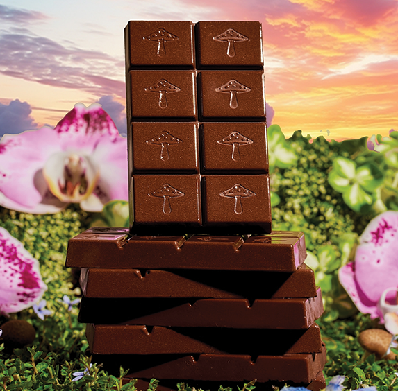 Mushroom Chocolates - Brainstorm for Focus