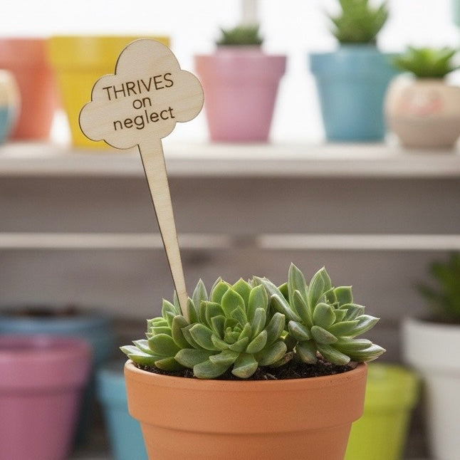 Snarky Wood Plant Markers