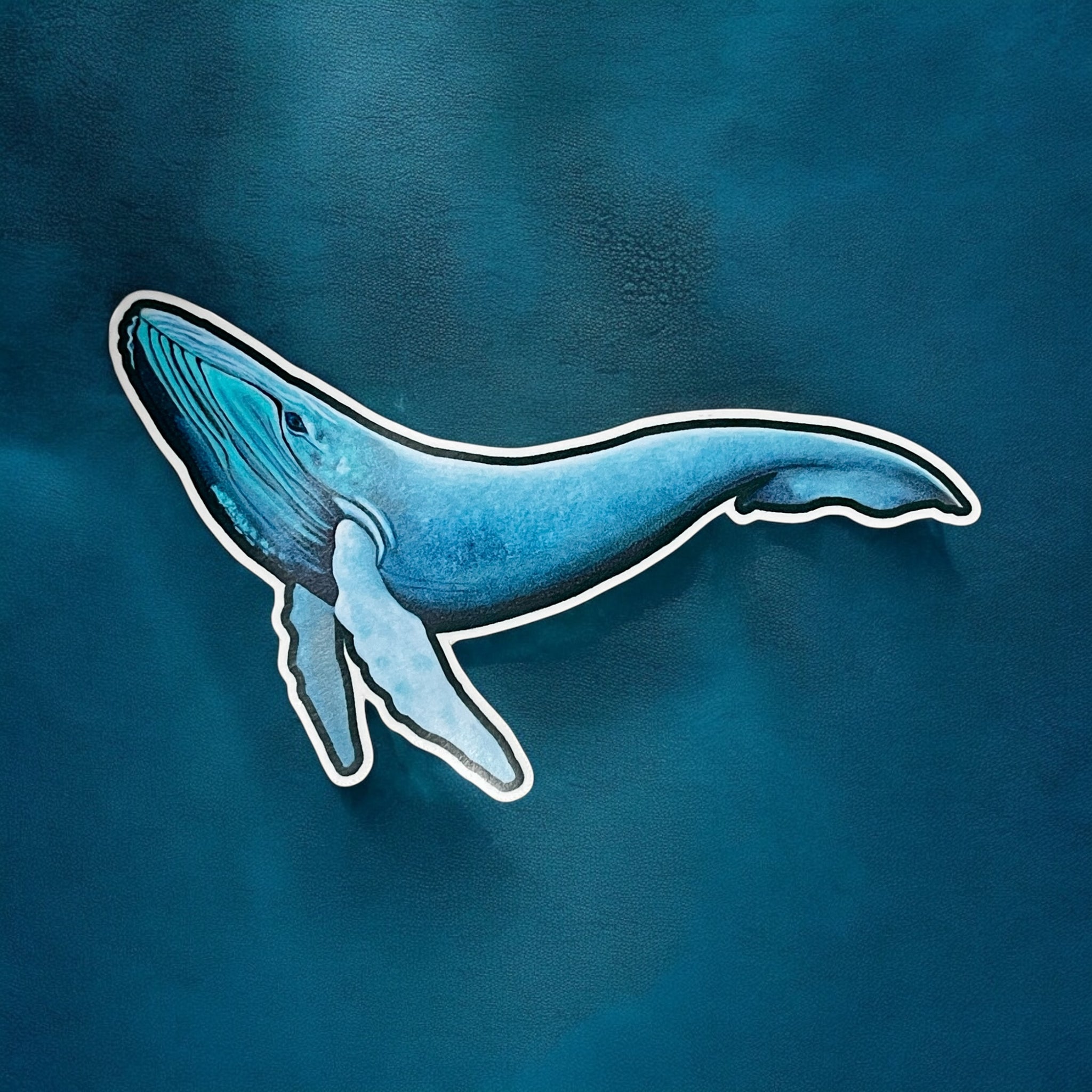 Vinyl Sticker - Whale