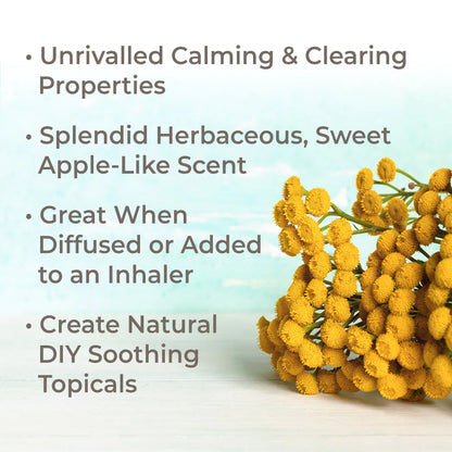 Essential Oils - Organic Blue Tansy