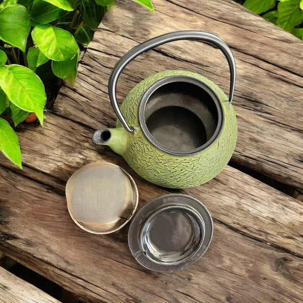 Vintage Teapot - Green Cast Iron with Infuser (Iwachu Tetsubin, Japan)
