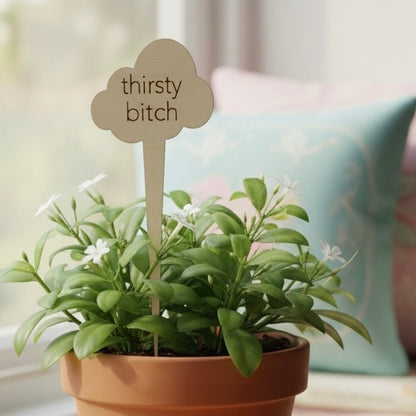 Snarky Wood Plant Markers