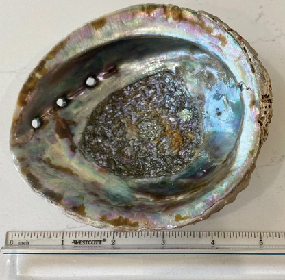 Abalone Shell Smudge Bowls
