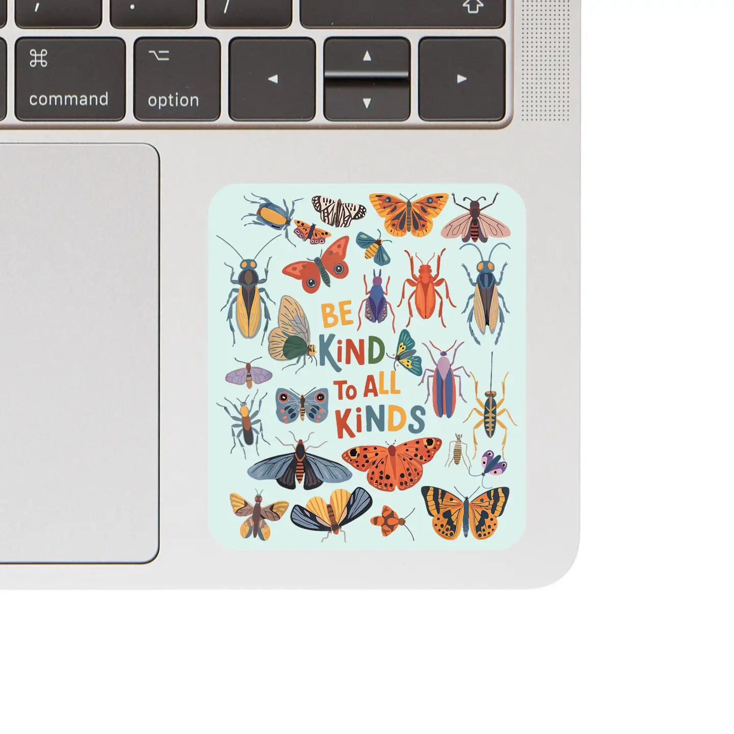 Vinyl Sticker - Be Kind to All Kinds