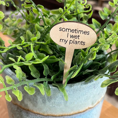 Snarky Wood Plant Markers