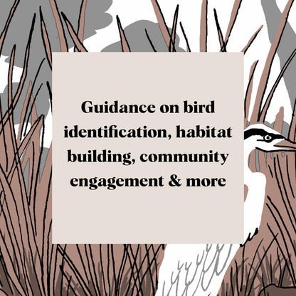 Pocket Nature: Bird-Watching