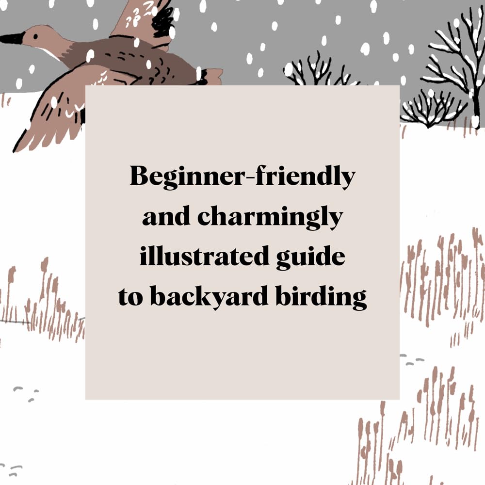 Pocket Nature: Bird-Watching