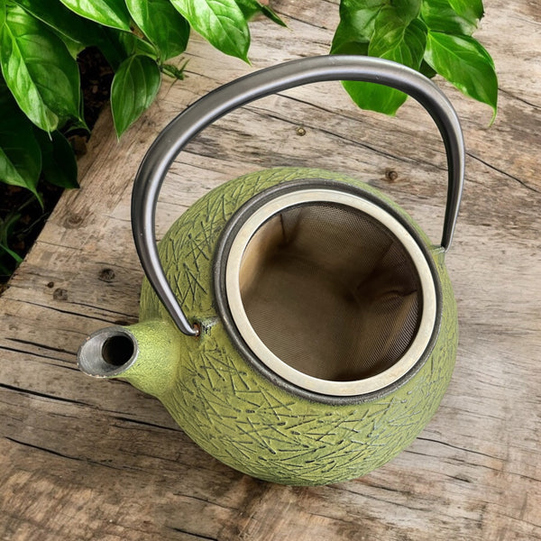 Vintage Teapot - Green Cast Iron with Infuser (Iwachu Tetsubin, Japan)