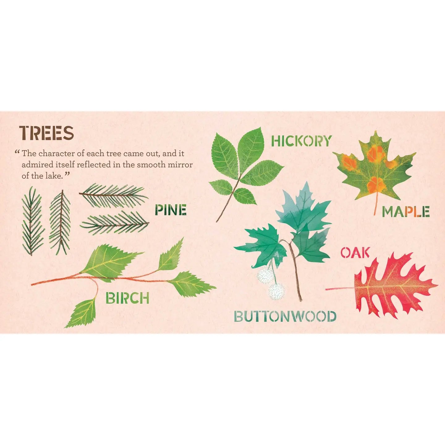Walden: A Nature Primer