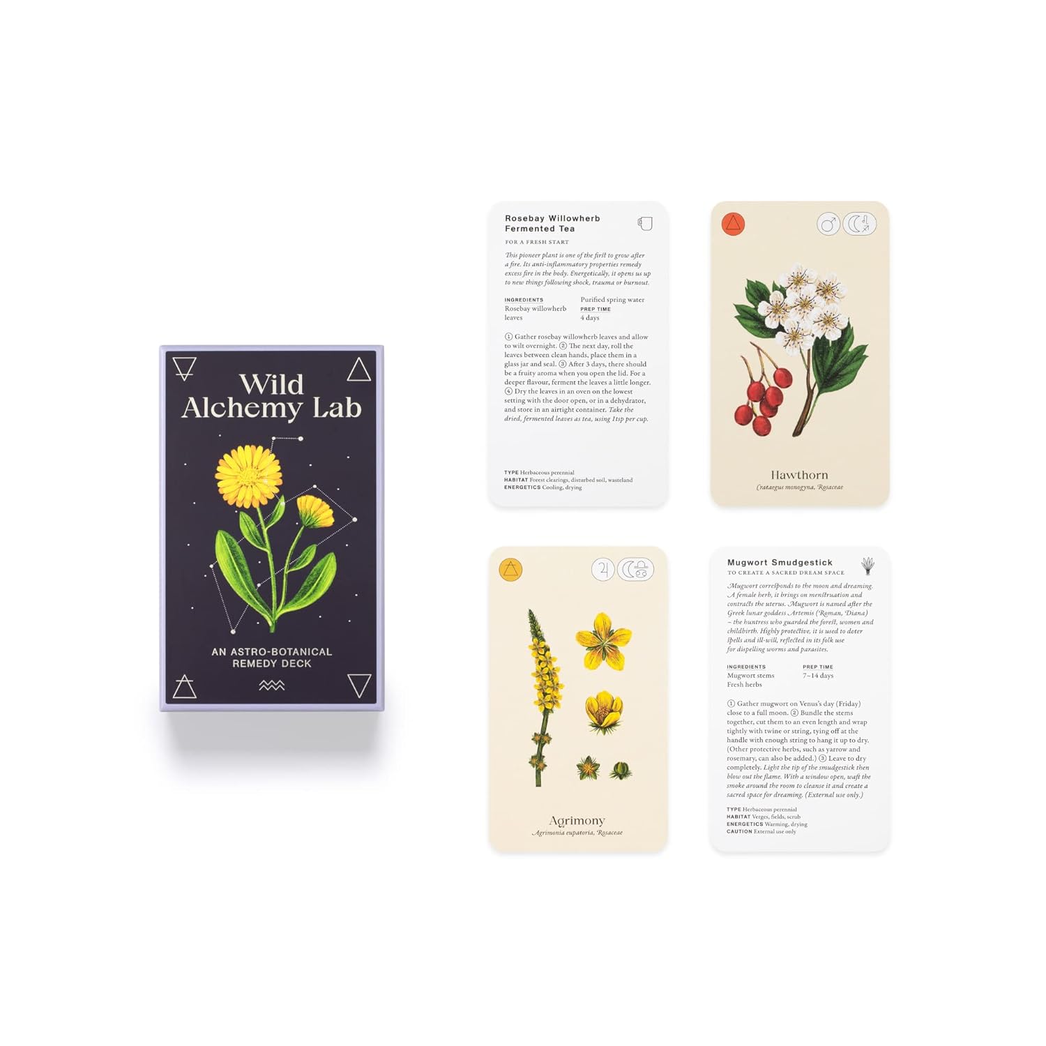 Wild Alchemy Lab: An Astro-botanical Remedy Deck